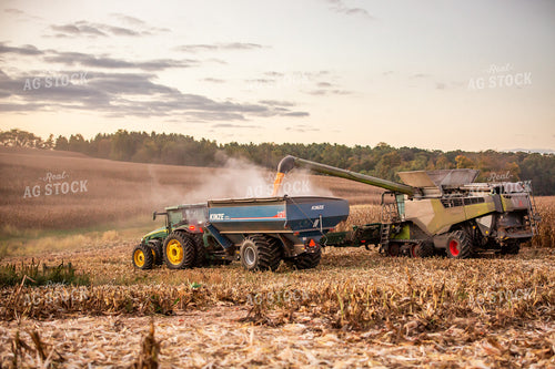 Corn Harvest 270633
