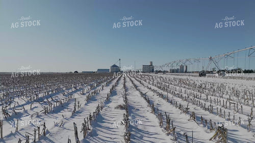 Harvested Corn Field in Snow 239539