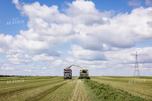 Harvesting Hay Silage 152461