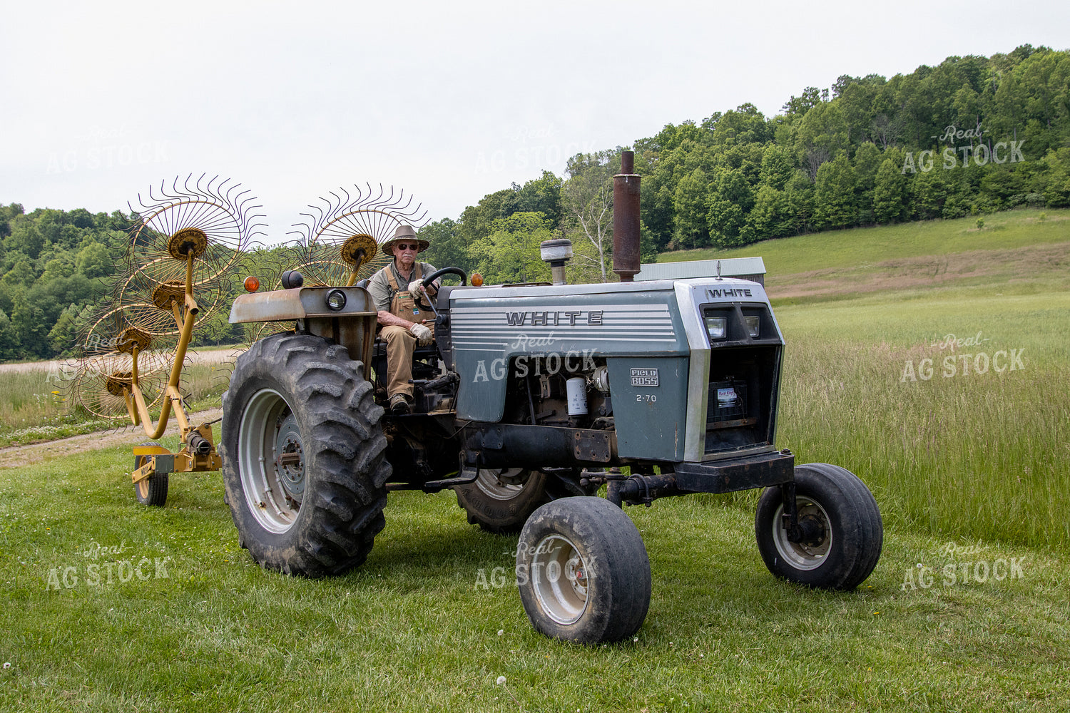 Farmer on Tractor with Hay Rake 52157