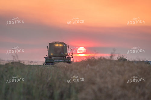 Making Straw 138071