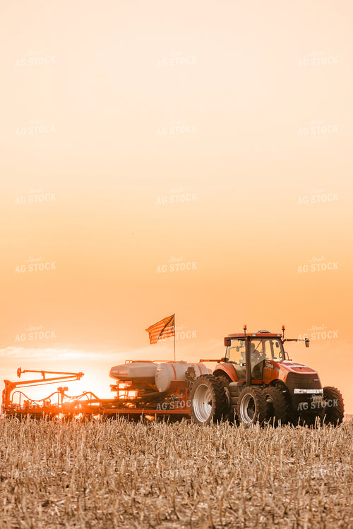 Planting 207031