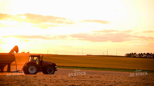 Grain Cart Driving in Soybean Field at Sunset 25735
