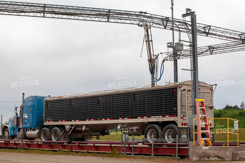 Grain Deliveries to the Elevator 132125