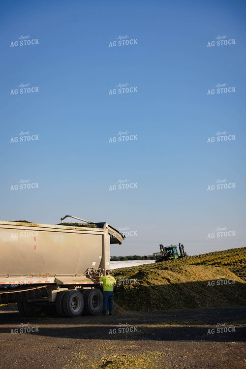 Storing Corn Silage 152549