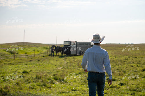 Rancher Walking in Pasture 212112