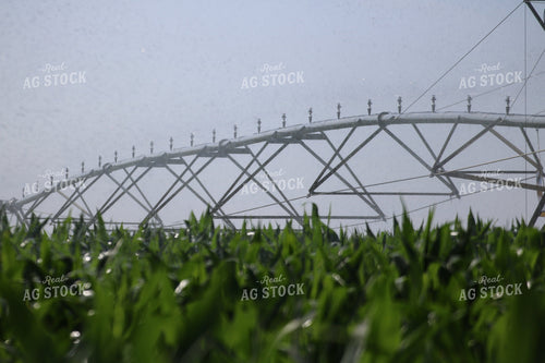Irrigation System 82023