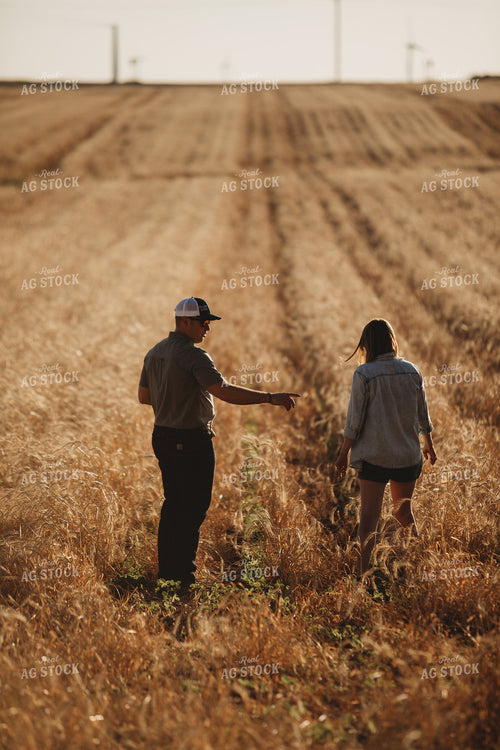 Farmers Walking Soybean Field with Rye Cover Crop 5811