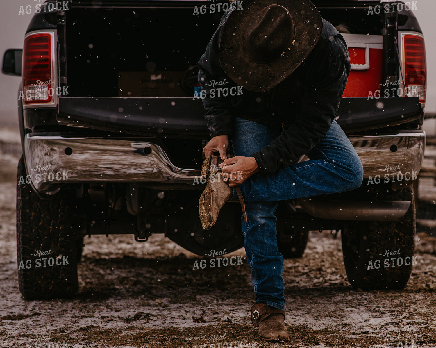 Rancher Putting on Spurs 54007