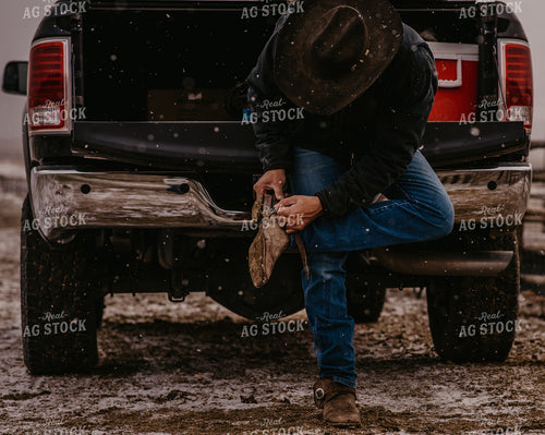 Rancher Putting on Spurs 54007