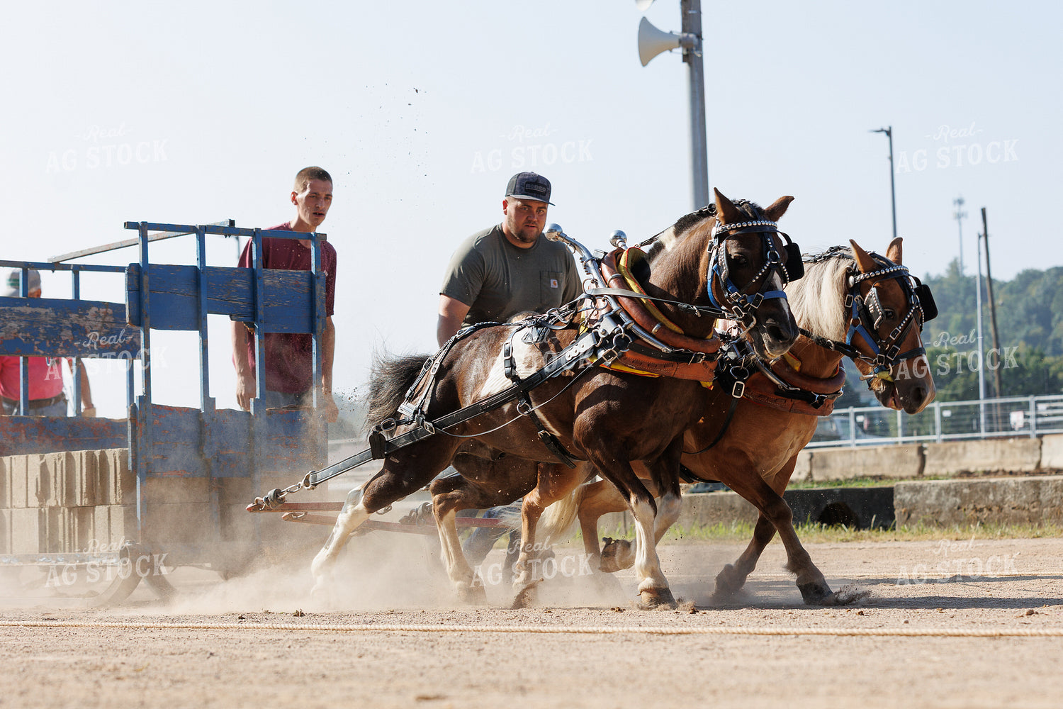 Horse Pulling 52895