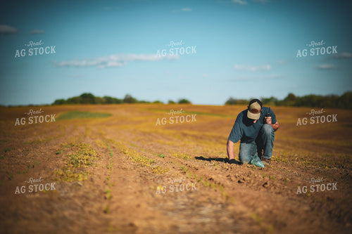 Scouting Emergence 191039