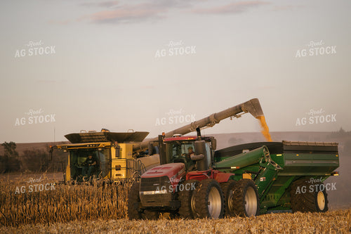 Nebraska Corn Harvest 70042