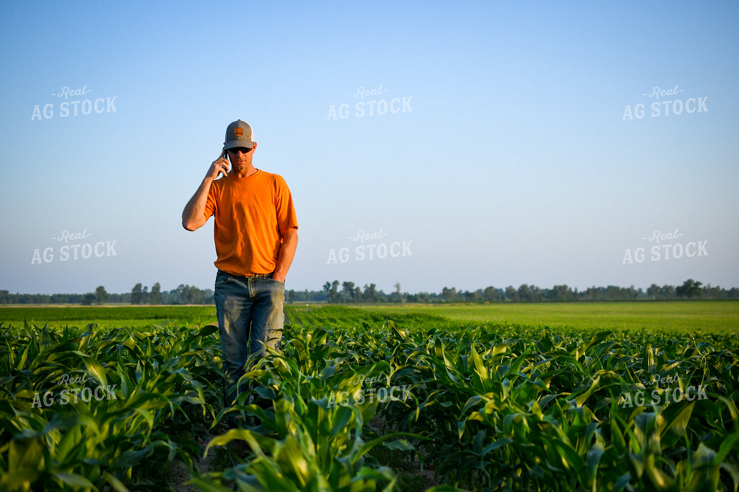 Farmer on Phone while Checking Corn 191122