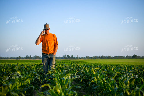 Farmer on Phone while Checking Corn 191122