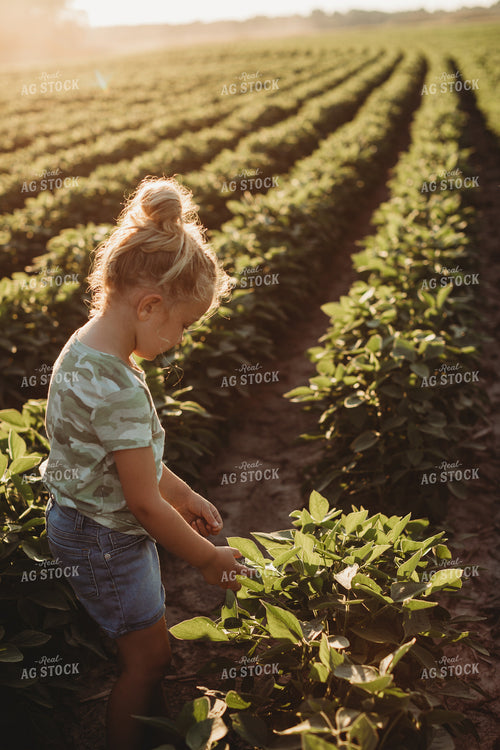 Farm Kid in Soybean Field 6270