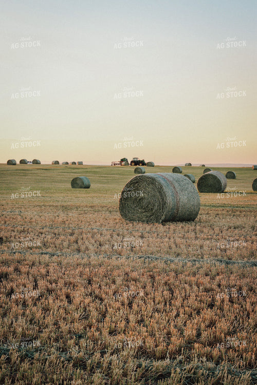 Hay Bales 83089