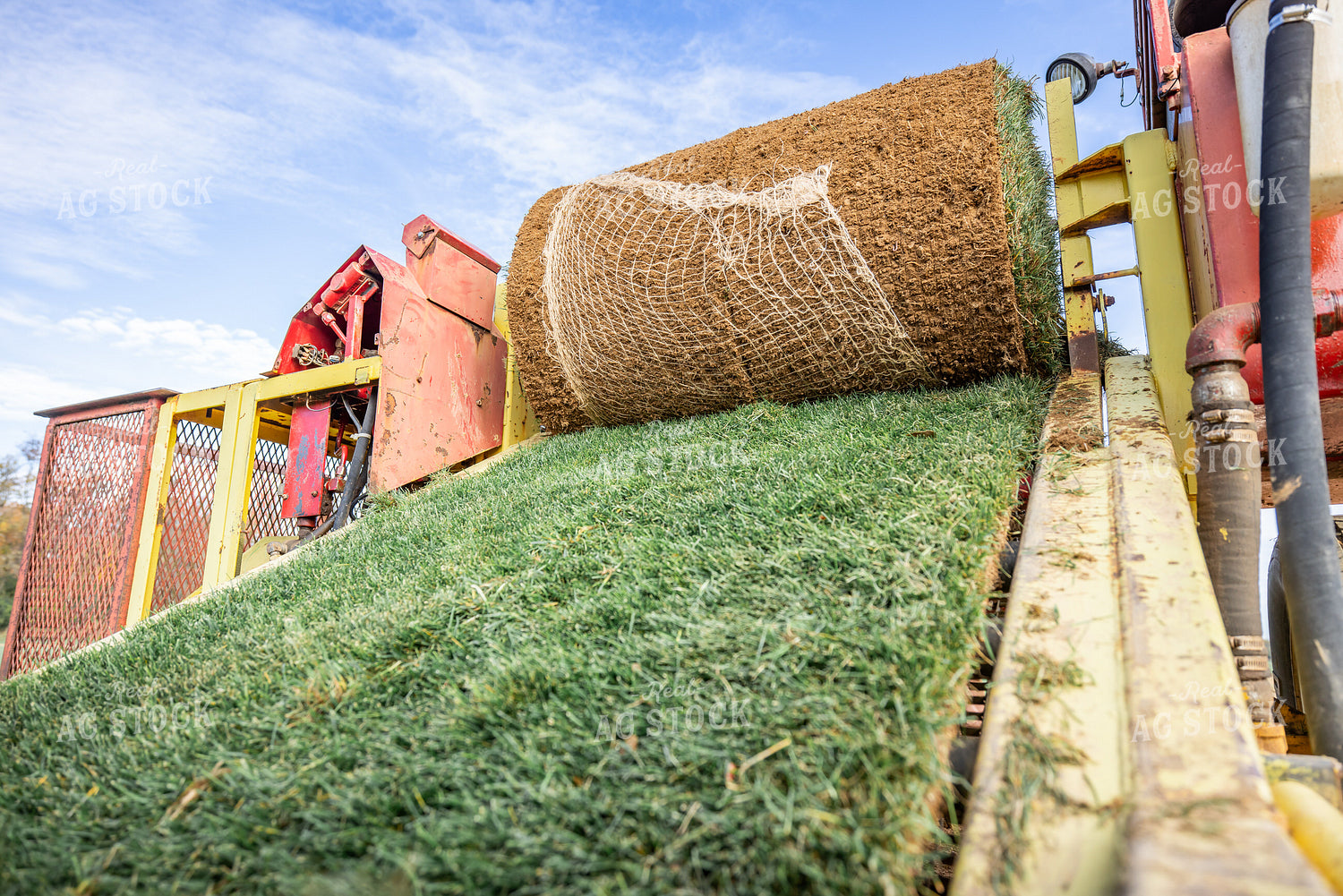 Harvesting Turf 270333