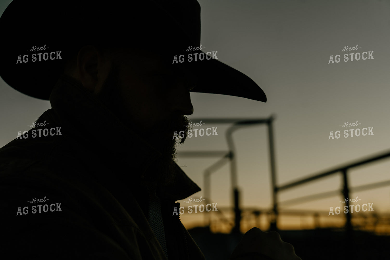 Rancher 58276