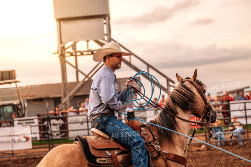 Rodeo 115795