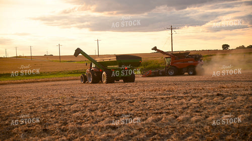 Grain Cart Driving to Meet Combine Harvesting Soybeans 25730