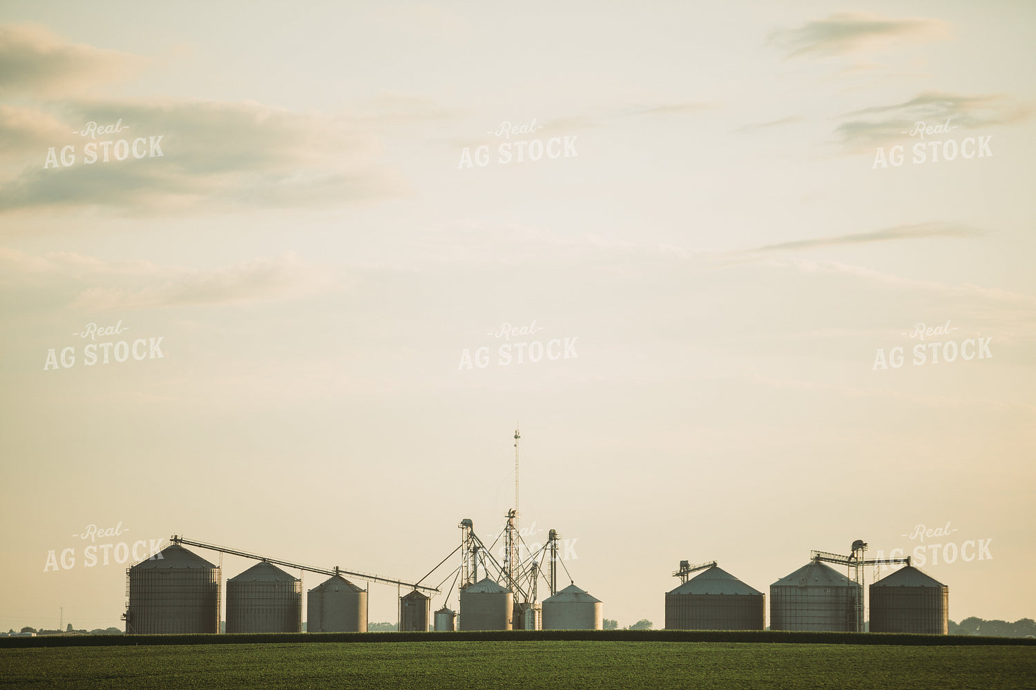 Grain Bins Over Corn and Soybean Field 6066