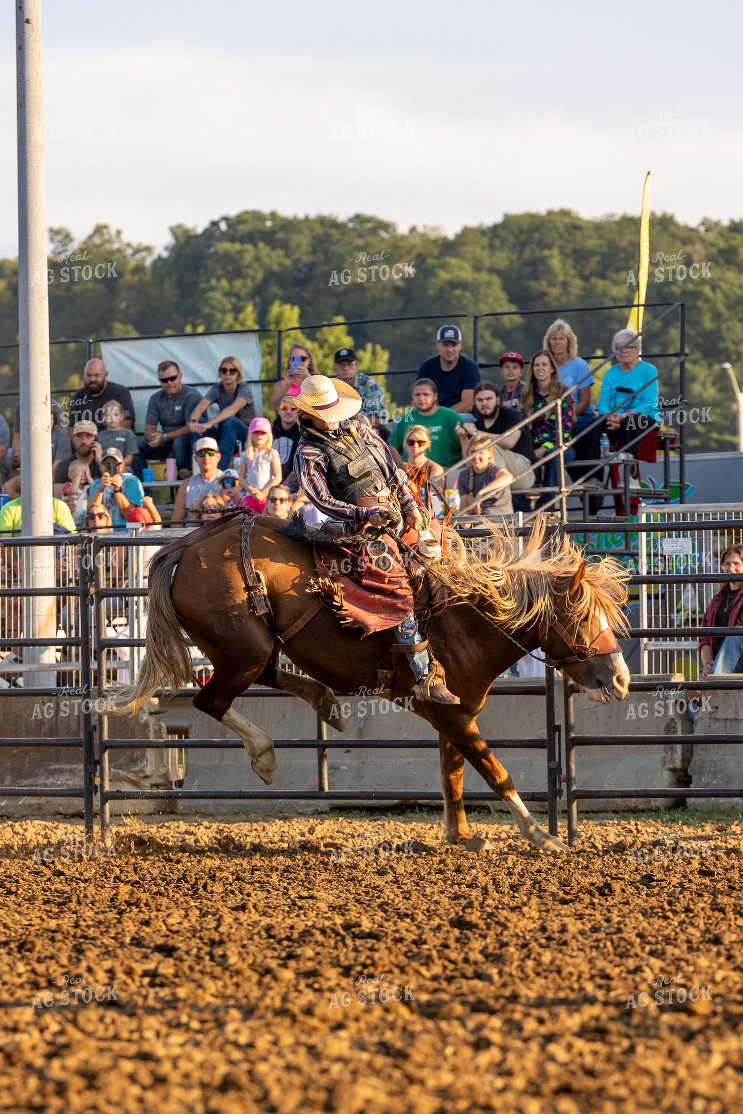 Rodeo 295140