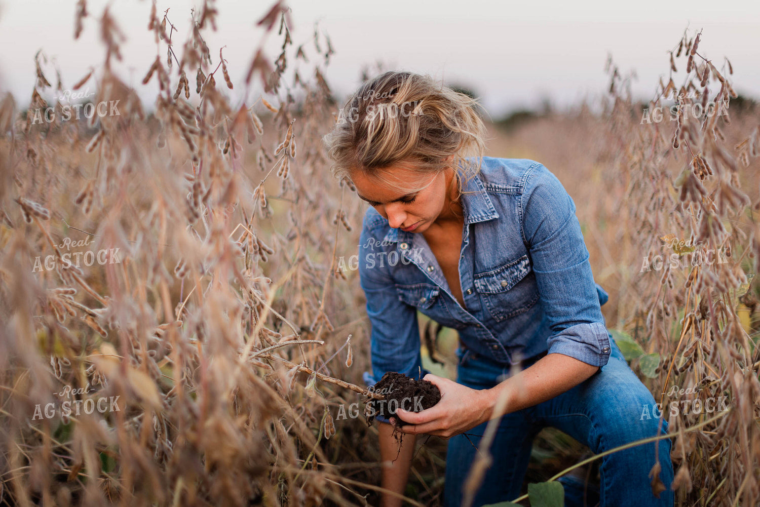 Female Agronomist Checking Beans 8364