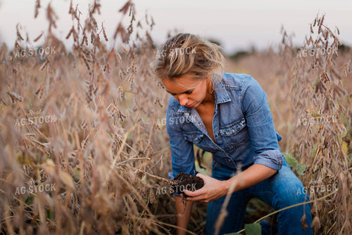 Female Agronomist Checking Beans 8364