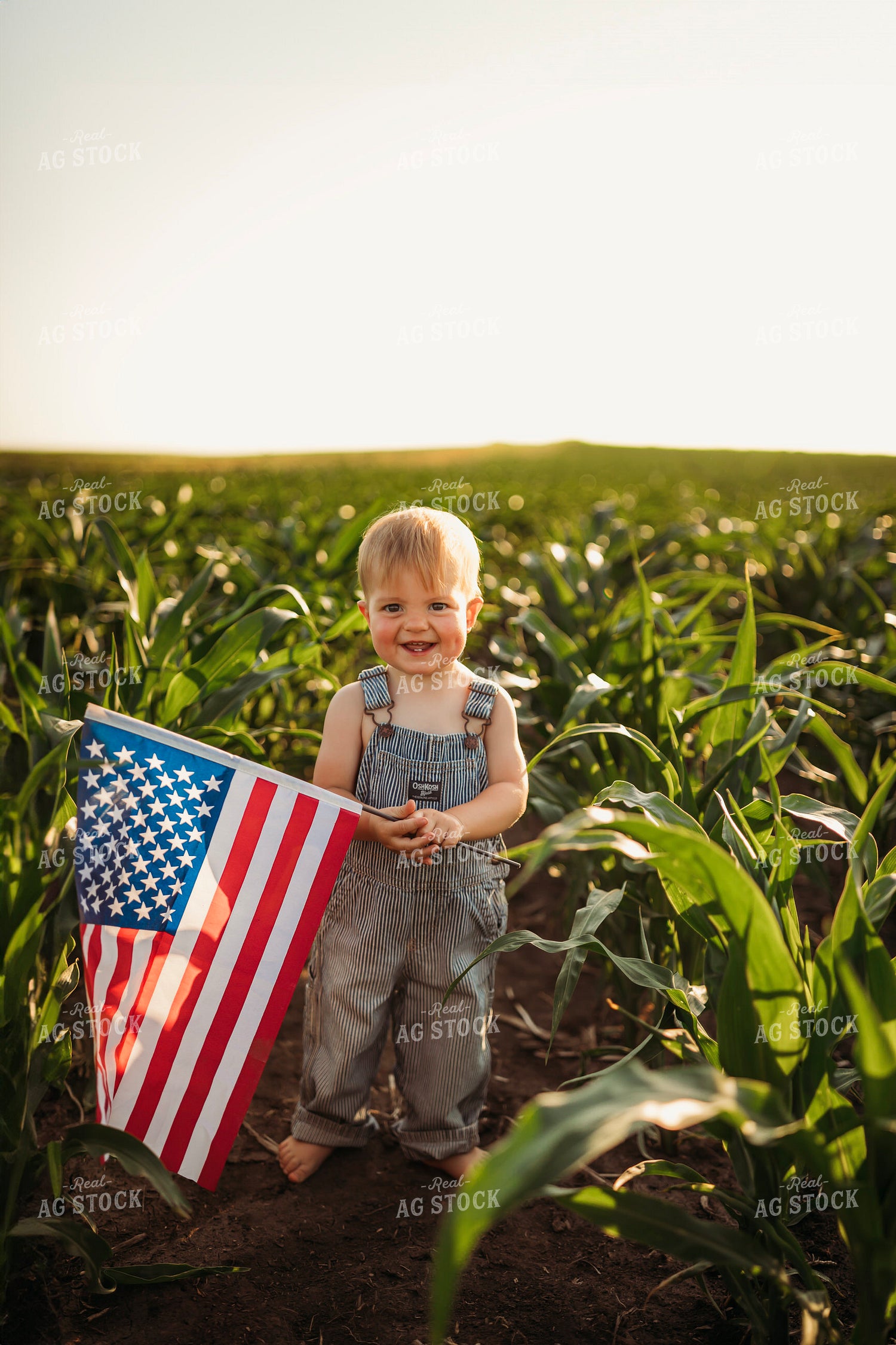 Farm Kid Holding American Flag 285060