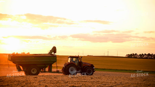 Grain Cart Driving in Soybean Field at Sunset 25736
