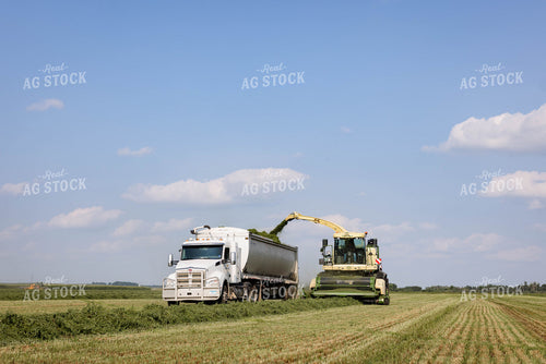 Harvesting Hay 152649