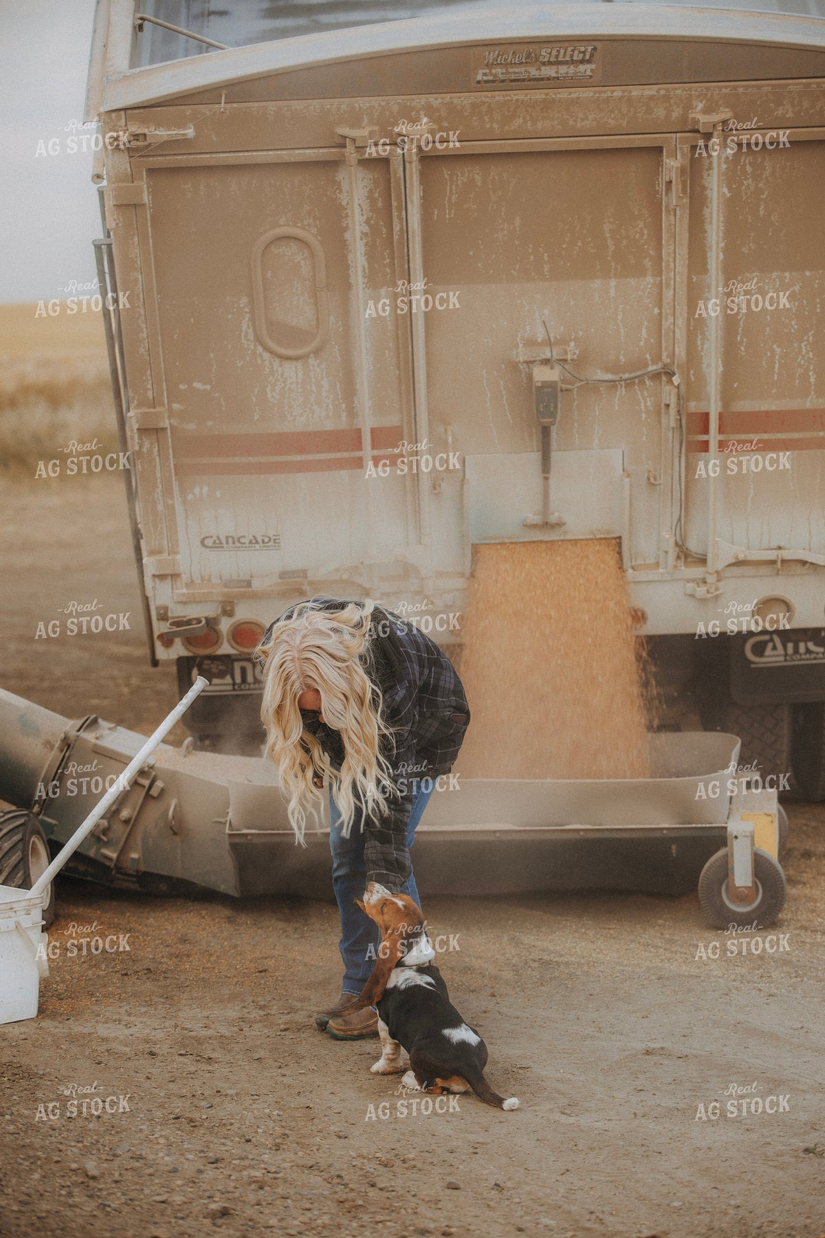 Female Farmer and Farm Dog Unloading Grain 187399
