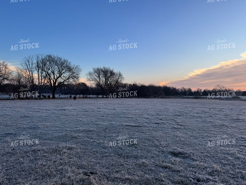 Scenic Pasture 228007
