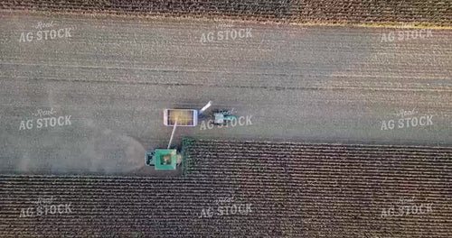 Overhead of Corn Harvest 250010