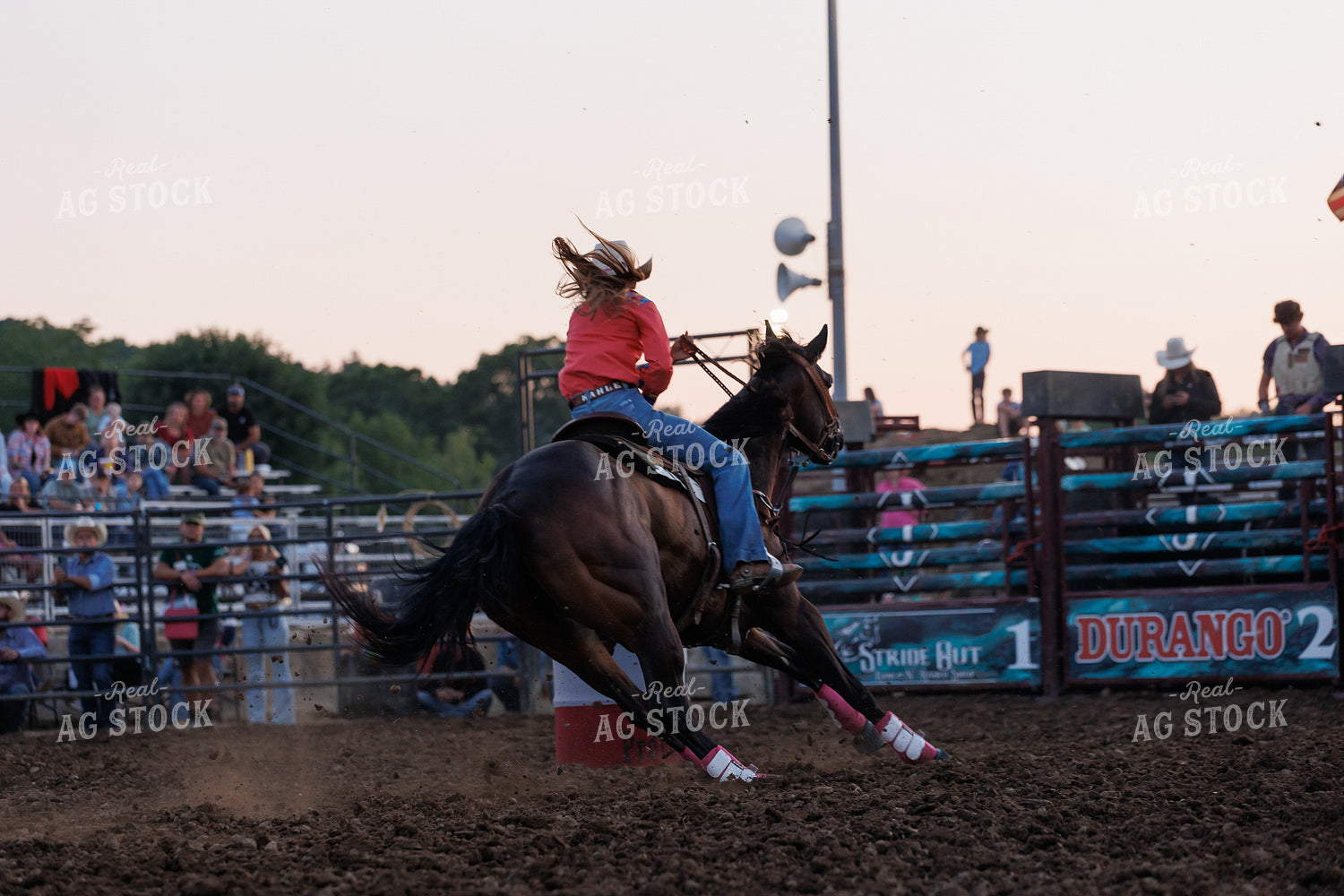 Rodeo 295151