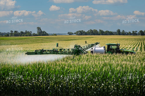 Self-Propellerd Sprayer in Corn Field 90136
