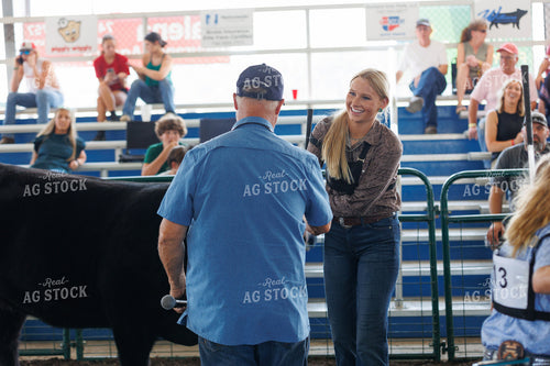 Showing Cattle 52761