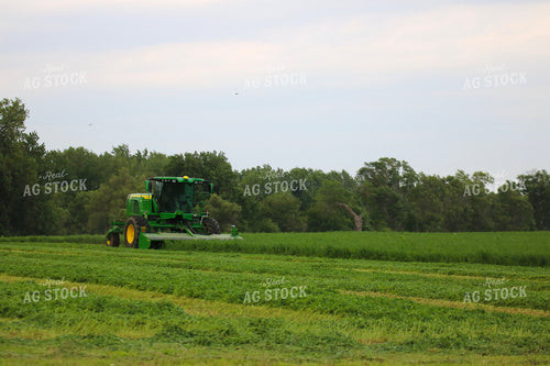 Cutting Hay 82280