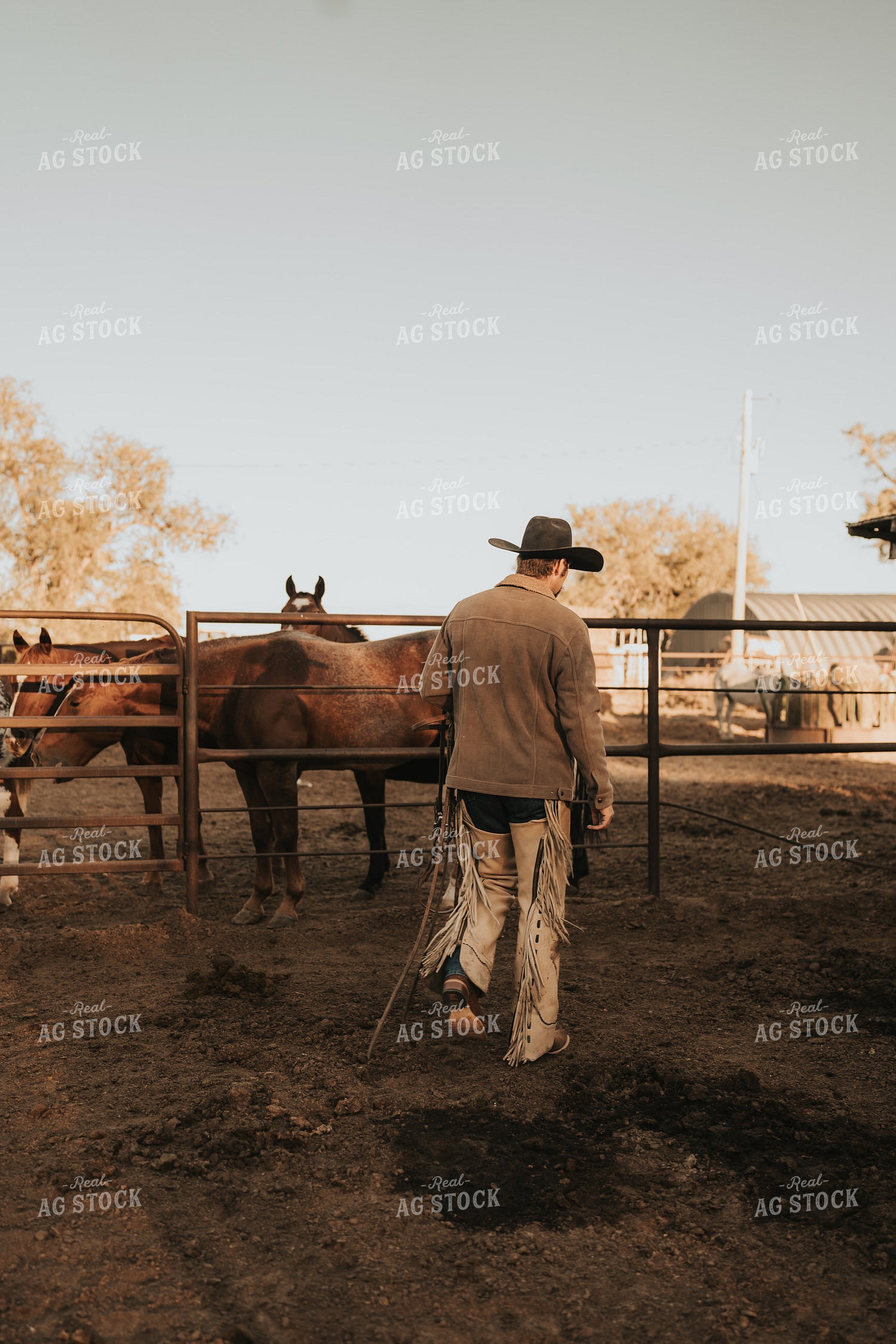 Cowboy 61174