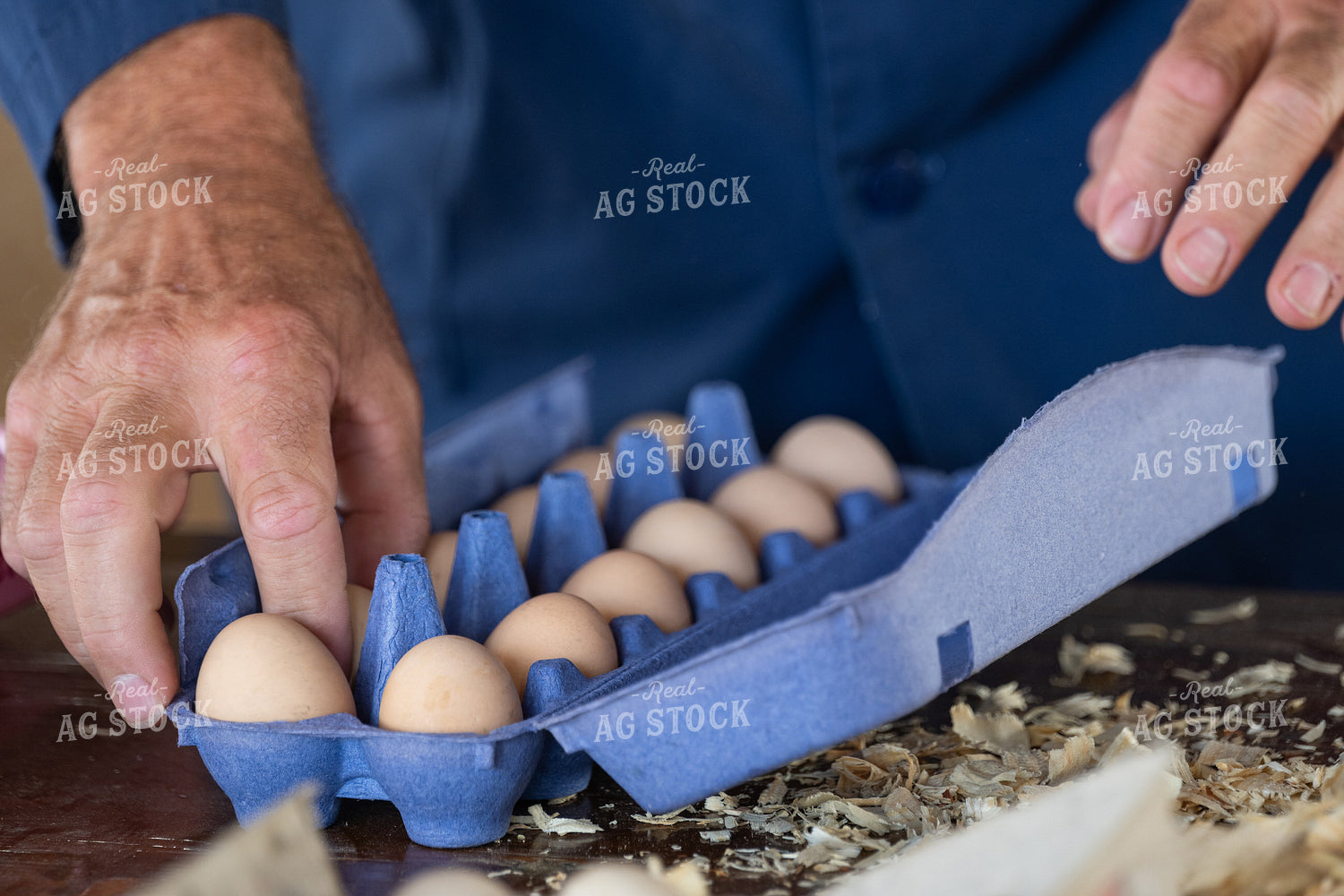 Eggs 269004