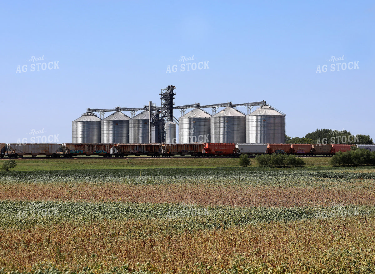 Train and Grain Storage Facility 141753