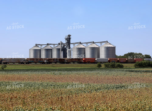 Train and Grain Storage Facility 141753