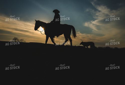 Rancher on Horseback 219082