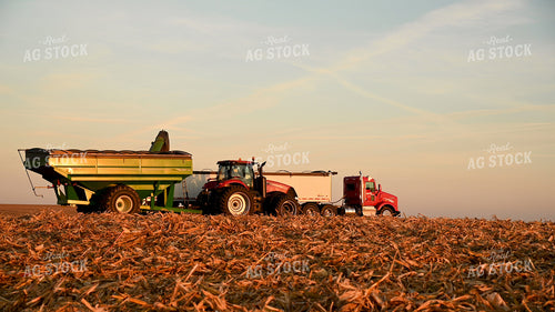 Tractor Unloading Corn into the Semi Hopper 25784