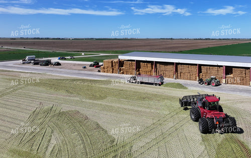 Silage Piles at Dairy Farm 141789