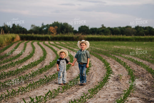 Farm Kids in Cornfield 115311