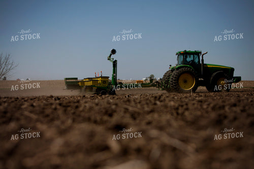 Planting 1950