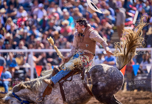 Rodeo 177027