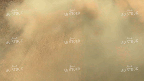 Soybean Harvest 52681